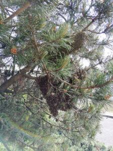image (10)